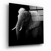 Elephant Glass Wall Art.